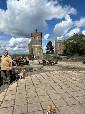 WhatsApp Bild 2024-07-28 um 17.20.31_2314b46a