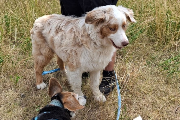 Image 2025-07-05 13w