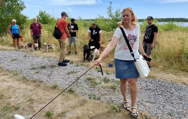 Image 2025-07-05 15w