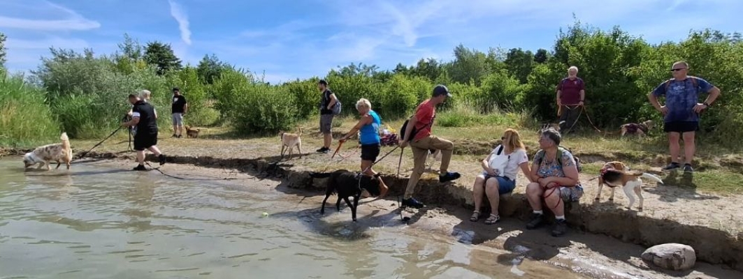 Image 2025-07-05 18w