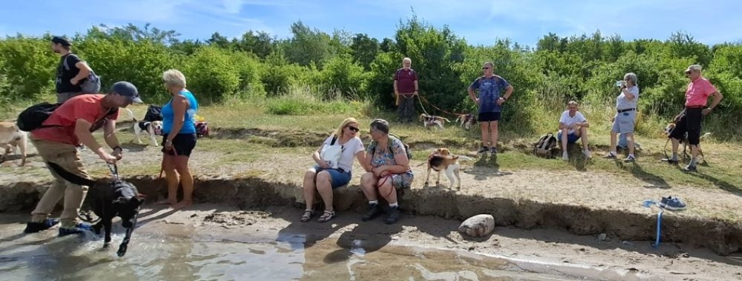 Image 2025-07-05 19w