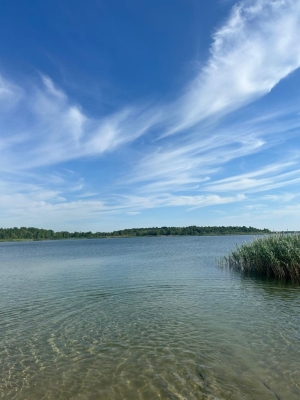 Image 2025-07-05 24w