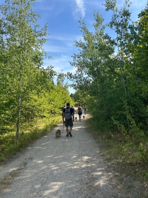 Image 2025-07-05 25w