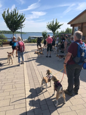 Image 2025-07-05 30w