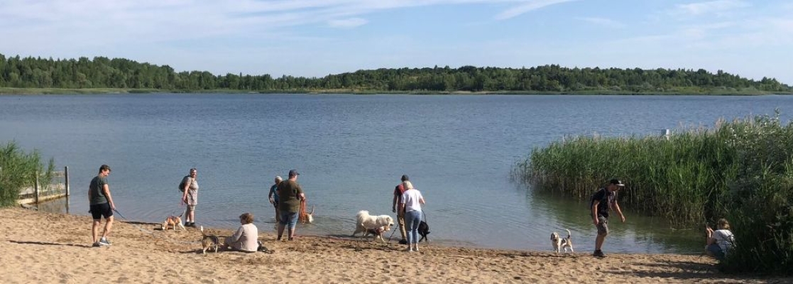 Image 2025-07-05 32w