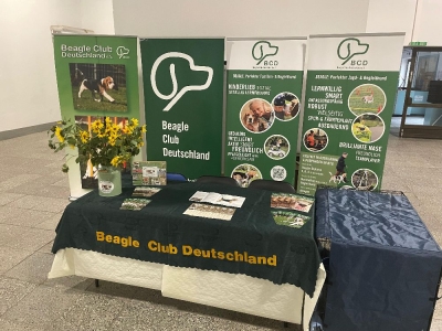 WhatsApp Image 2025-09-05 at 19.06.10