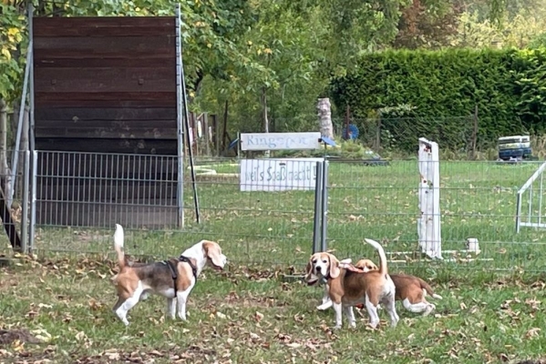 Image2025-09-27 at-12