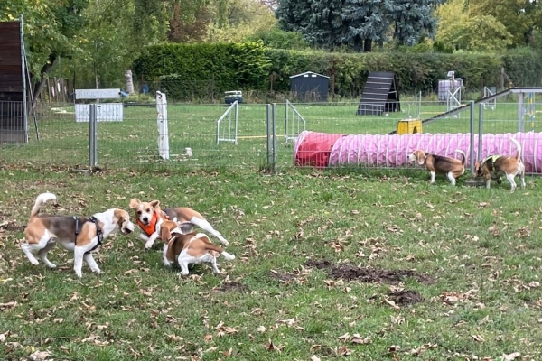 Image2025-09-27 at-13