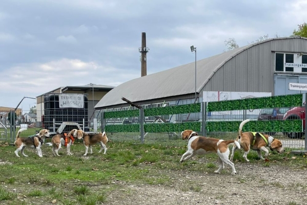 Image2025-09-27 at-15