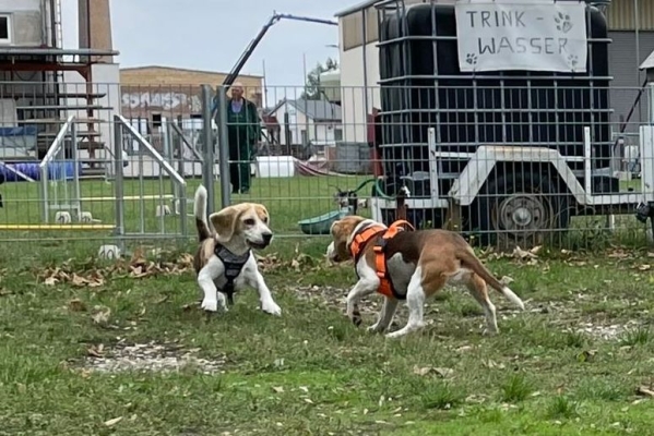 Image2025-09-27 at-16