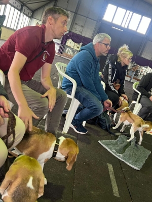 Image2025-09-27 at-42