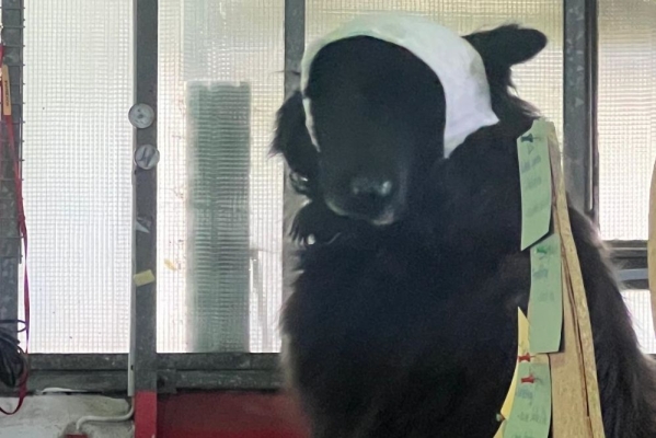 Image2025-09-27 at-45