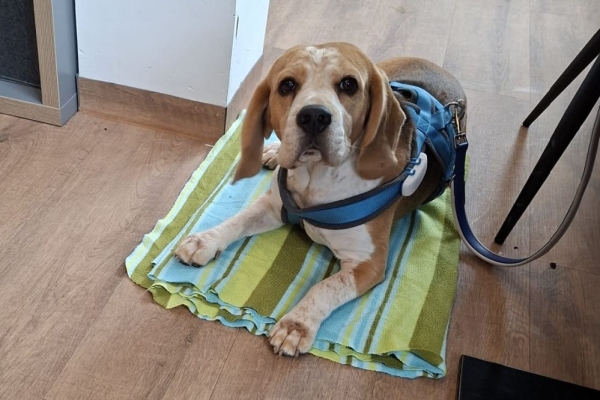 Image2025-10-08 at-55