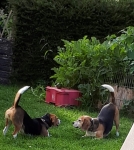 IMG-20250526-WA0004(1)