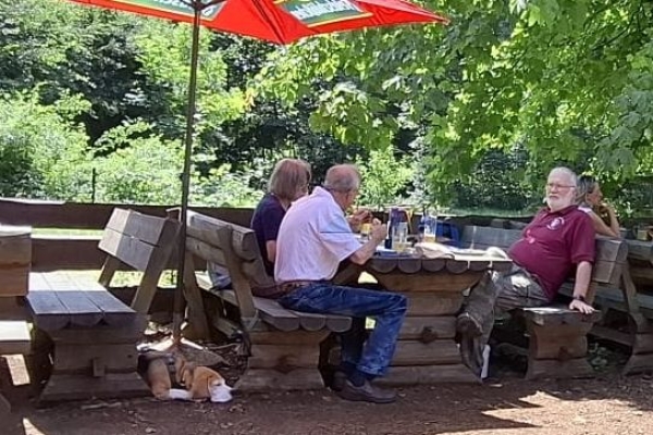 Image 2025-06-15 -11w