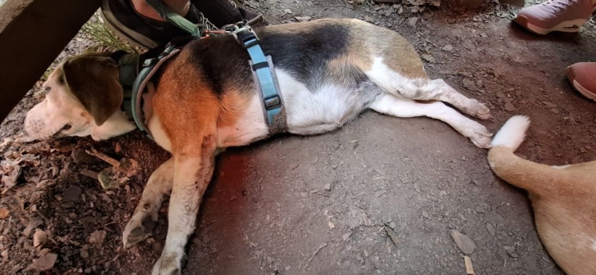 Image 2025-06-15 -12w