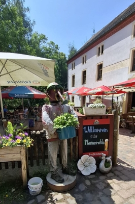 Image 2025-06-15 -14w