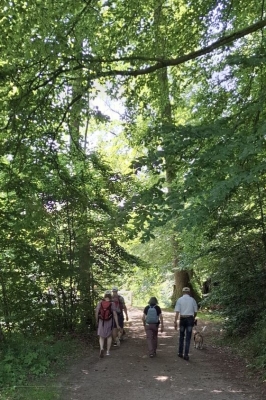 Image 2025-06-15 -18w