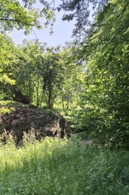 Image 2025-06-15 -19w