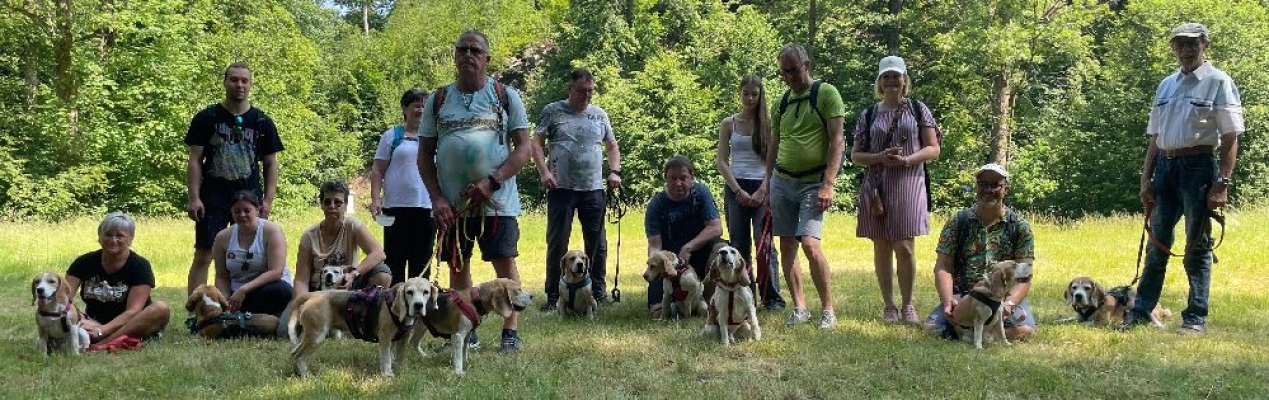 Image 2025-06-15 -1pa