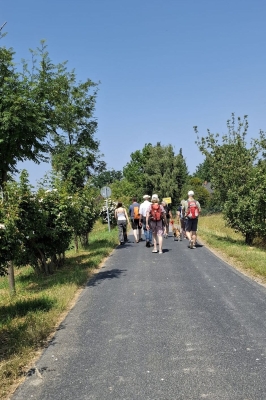 Image 2025-06-15 -1w