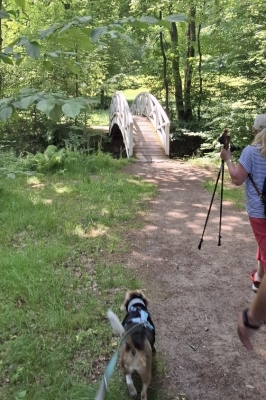 Image 2025-06-15 -20w