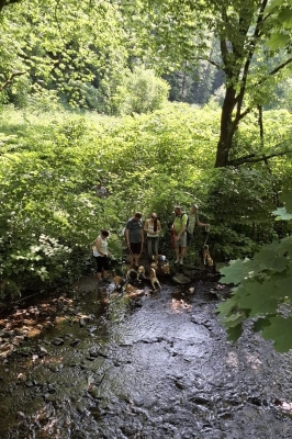 Image 2025-06-15 -27w