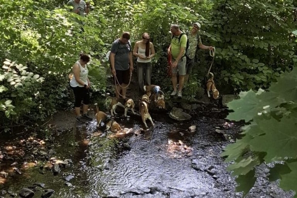 Image 2025-06-15 -27wa