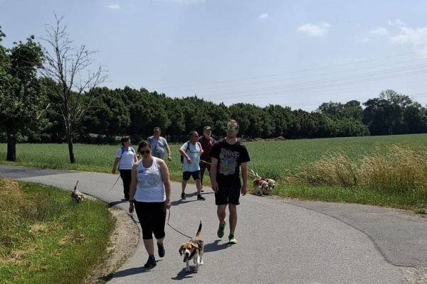 Image 2025-06-15 -2w