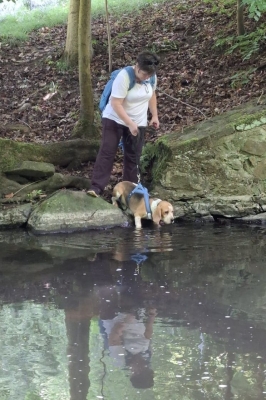 Image 2025-06-15 -30w