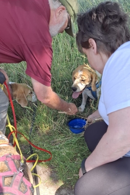 Image 2025-06-15 -32w