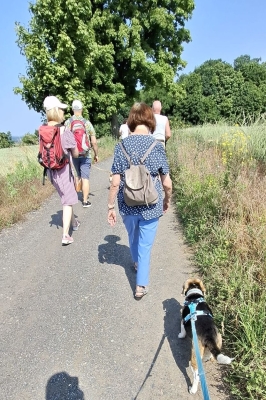 Image 2025-06-15 -36w