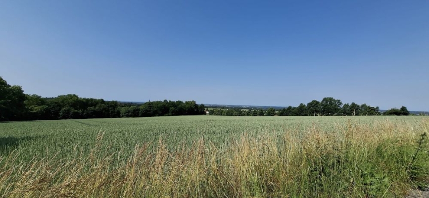 Image 2025-06-15 -37w