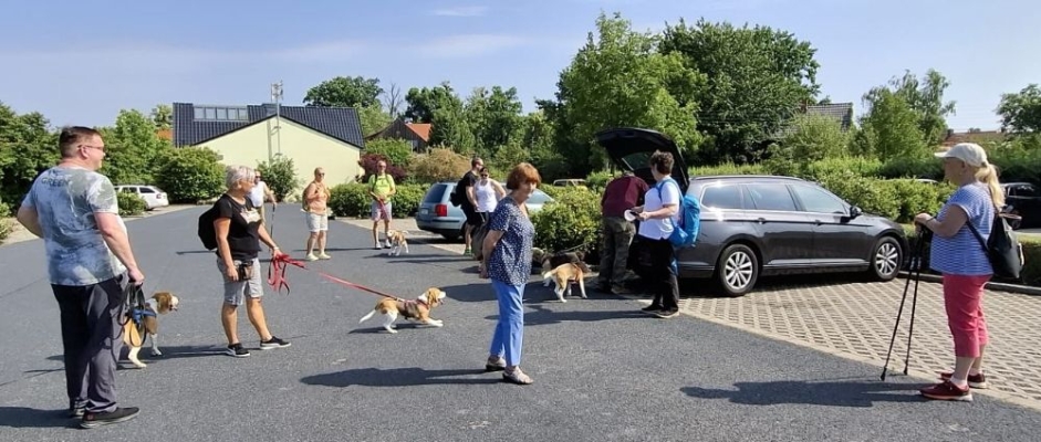 Image 2025-06-15 -41w