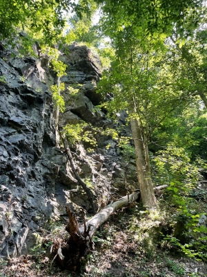 Image 2025-06-15 -4p