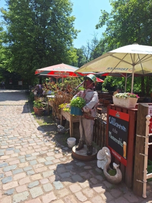 Image 2025-06-15 -5f