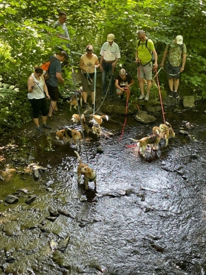 Image 2025-06-15 -5p