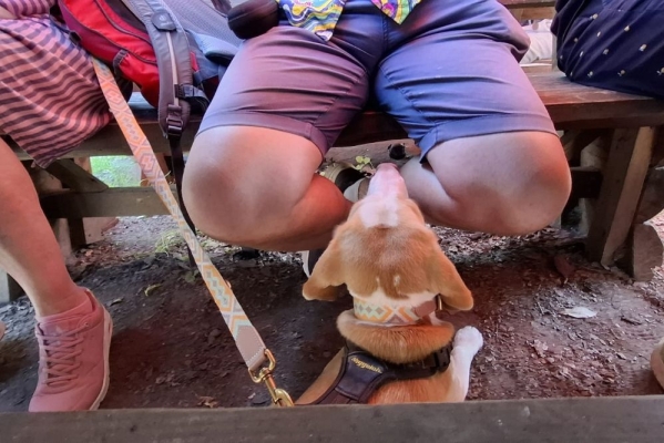 Image 2025-06-15 -9w