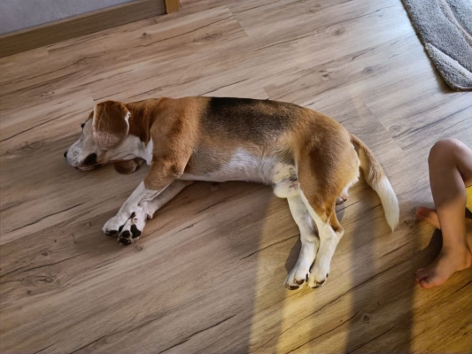 Image 2025-06-15 Joni