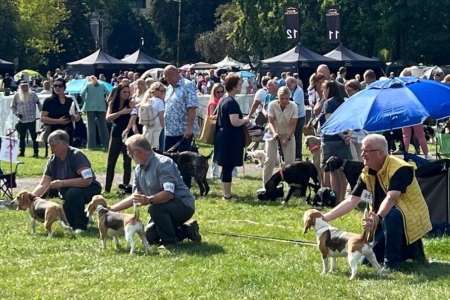 Image 2025-09-07 -11