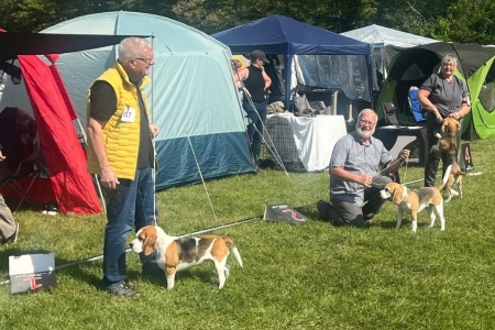 Image 2025-09-07 -15