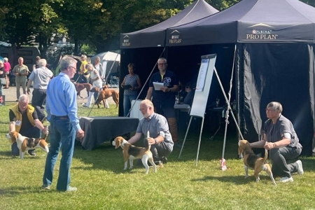 Image 2025-09-07 -16