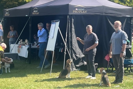 Image 2025-09-07 -17