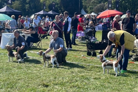 Image 2025-09-07 -21