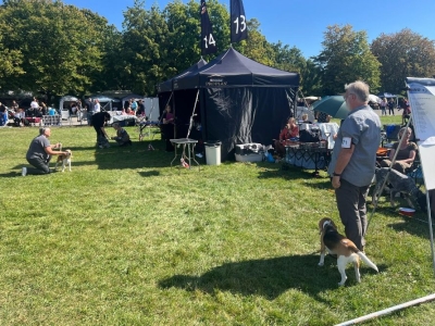 Image 2025-09-07 -22