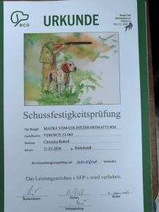 Image 2026-03-21 Mayra SFP