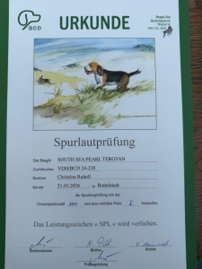 Image 2026-03-21 Paula SLP