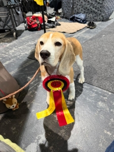 Image 2026-03-17 Martha 2