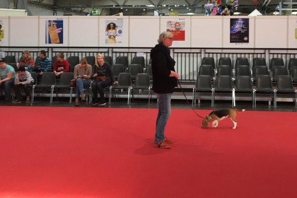 20160219_090853860_iOS