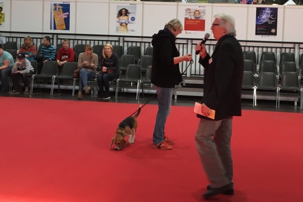 20160219_090858246_iOS